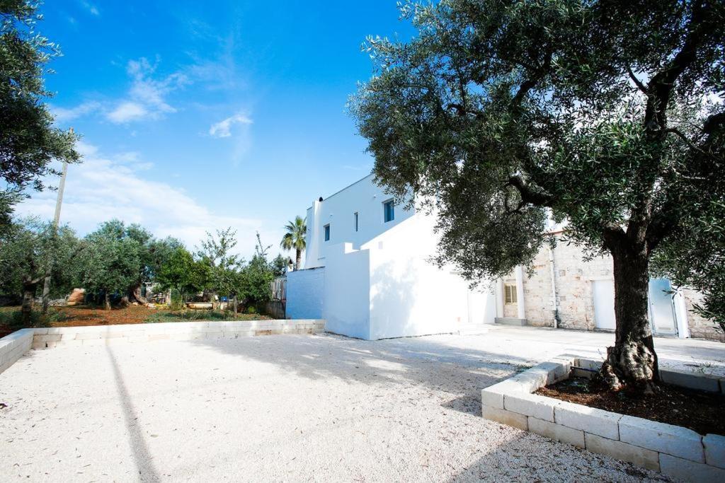 Casa 801 Bed and Breakfast Monopoli Εξωτερικό φωτογραφία